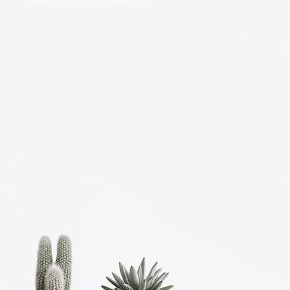 Meet your Posher, Trenady - Picture 1 of 1